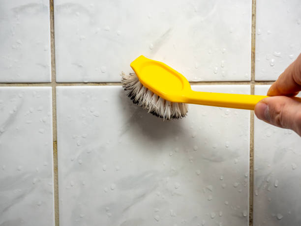 Best Office Mold Removal Services  in Rolling Fork, MS